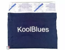 KoolBlues Umpire Chest Protector Cooling System -Bats Shop KoolBlues Umpire Chest Protector Cooling System Pouch with Ice Pack Front
